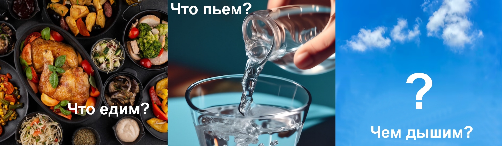 Ионизаторы воздуха Люстры Чижевского Аэроион-25 МГУ им. Н.П.Огарёва Официальный сайт производителя.